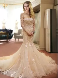 Luxurious Sweetheart Sleeveless Wedding Dresses With Train Court Train Appliques and Hand Made Flower Champagne Tulle