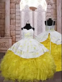 Organza Sleeveless Little Girls Pageant Gowns Brush Train and Embroidery and Ruffles